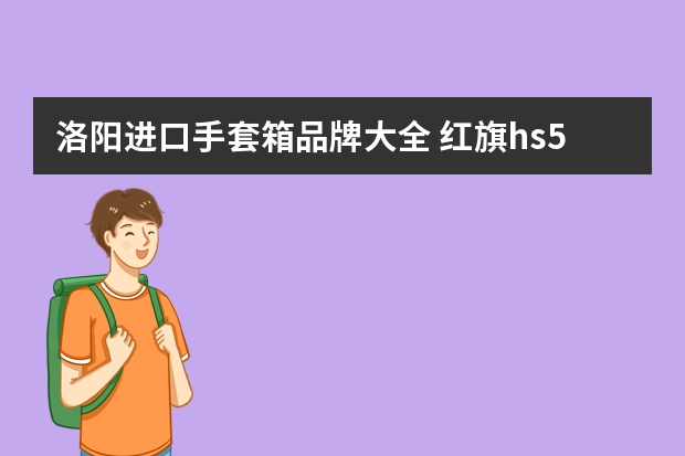 洛阳进口手套箱品牌大全 红旗hs5手套箱在哪