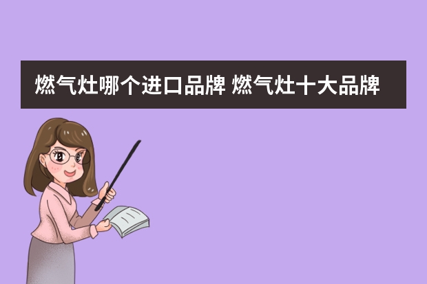 燃气灶哪个进口品牌 燃气灶十大品牌有哪些