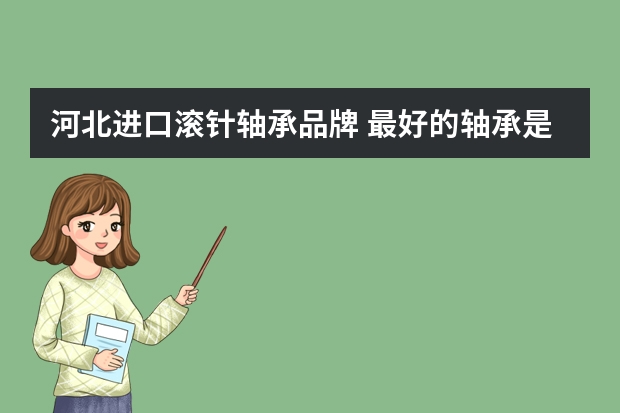 河北进口滚针轴承品牌 最好的轴承是什么牌子的