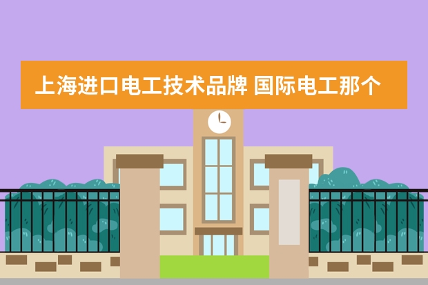 上海进口电工技术品牌 国际电工那个品牌是正品