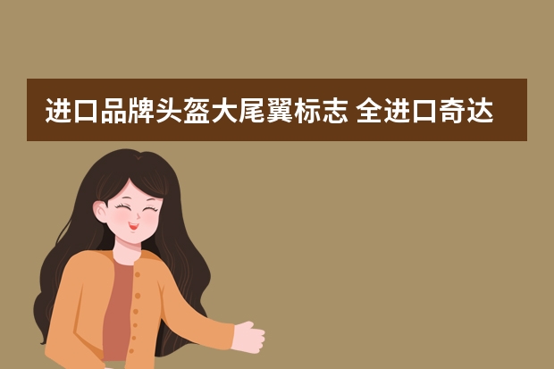 进口品牌头盔大尾翼标志 全进口奇达式头盔有标志吗
