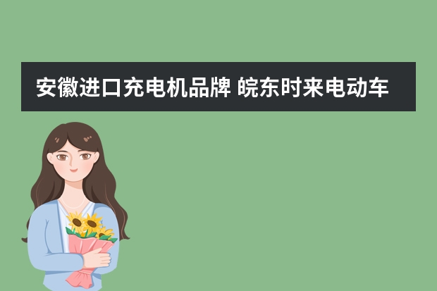 安徽进口充电机品牌 皖东时来电动车充电器怎么样