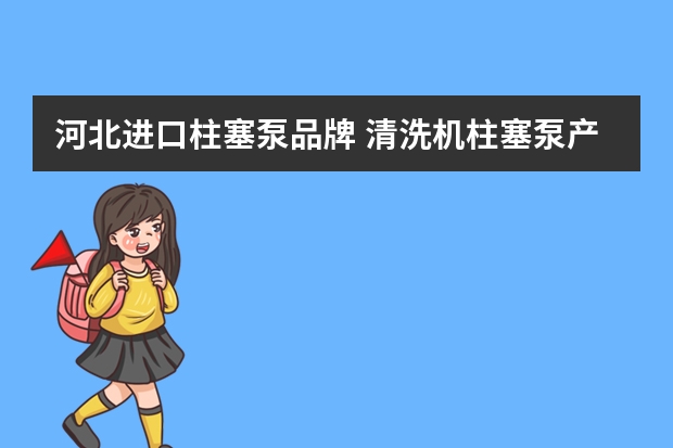 河北进口柱塞泵品牌 清洗机柱塞泵产地