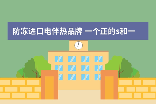 防冻进口电伴热品牌 一个正的s和一个反的s是什么牌子的地暖