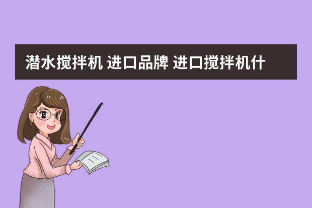 潜水搅拌机 进口品牌 进口搅拌机什么牌子好