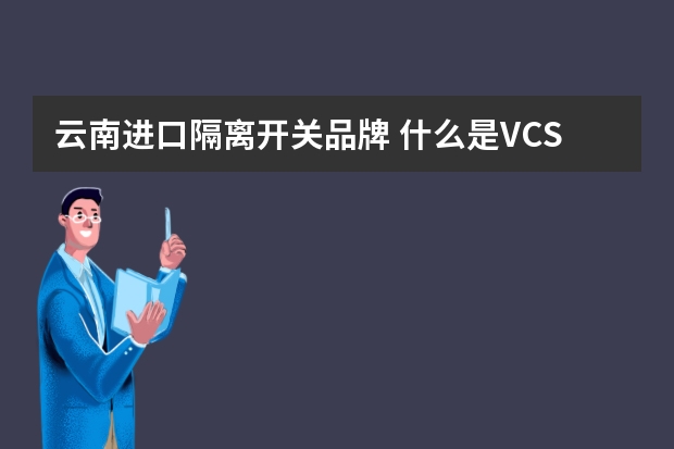 云南进口隔离开关品牌 什么是VCS隔离开关箱？