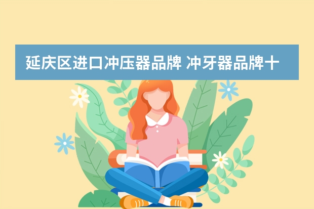 延庆区进口冲压器品牌 冲牙器品牌十大排名