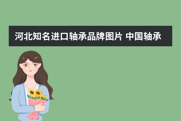 河北知名进口轴承品牌图片 中国轴承排名前十的有哪些品牌？