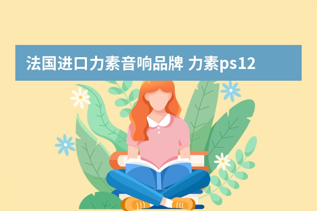 法国进口力素音响品牌 力素ps12功放参数