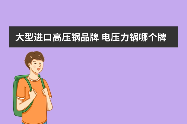 大型进口高压锅品牌 电压力锅哪个牌子好？全球十大电压力锅品牌(电压力锅品牌排行)