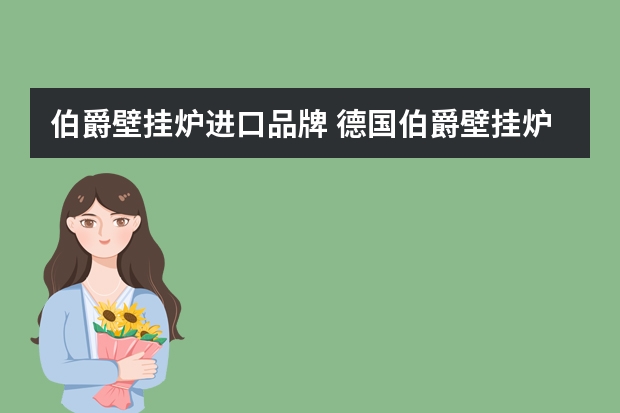 伯爵壁挂炉进口品牌 德国伯爵壁挂炉有何特点冷凝壁挂炉有哪些优点