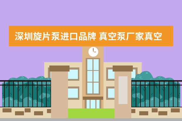 深圳旋片泵进口品牌 真空泵厂家真空泵哪种好