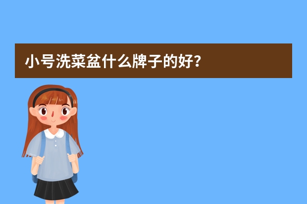 小号洗菜盆什么牌子的好？