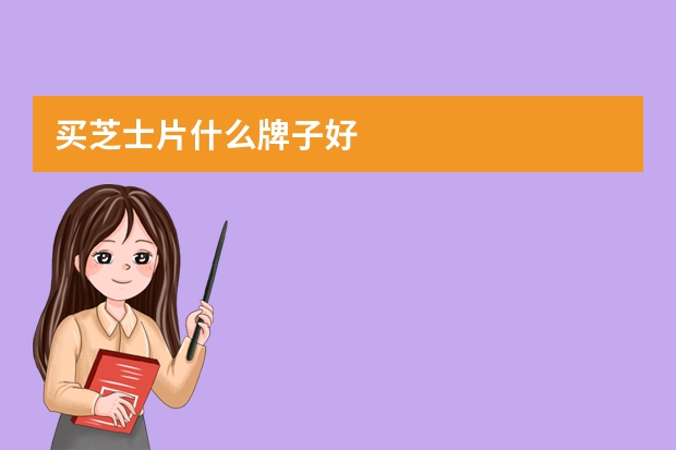 买芝士片什么牌子好