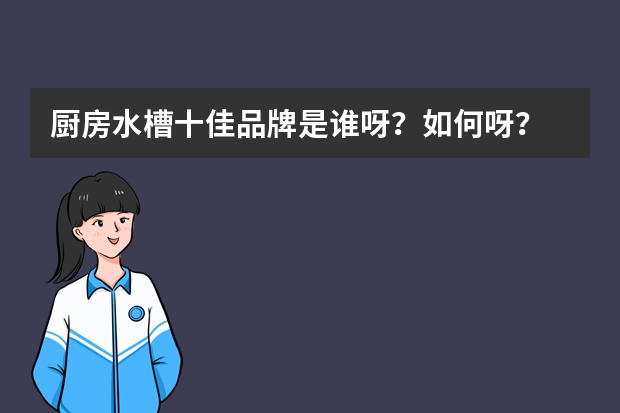 厨房水槽十佳品牌是谁呀？如何呀？
