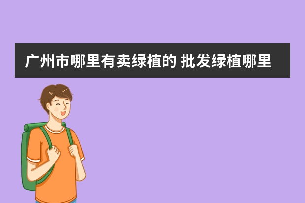 广州市哪里有卖绿植的 批发绿植哪里便宜