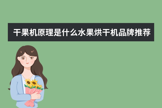 干果机原理是什么水果烘干机品牌推荐