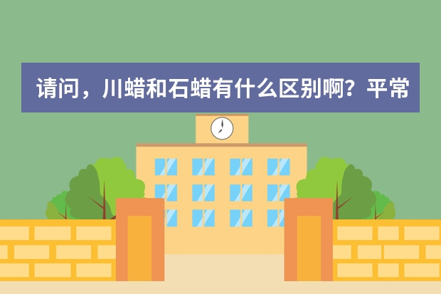 请问，川蜡和石蜡有什么区别啊？平常用的蜡烛属于哪种啊？谢谢