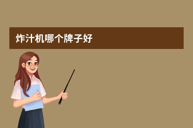 炸汁机哪个牌子好