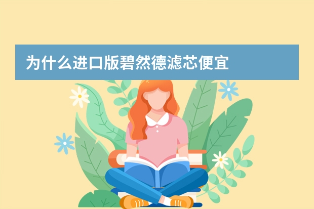为什么进口版碧然德滤芯便宜