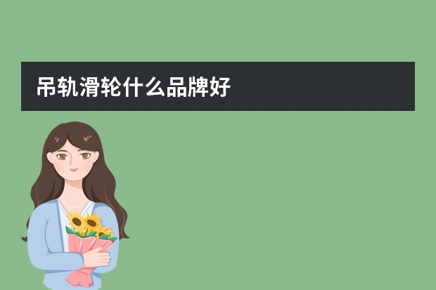 吊轨滑轮什么品牌好