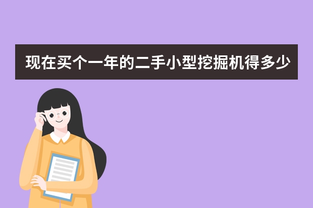 现在买个一年的二手小型挖掘机得多少钱，国产的进口的都行，请行家报个价