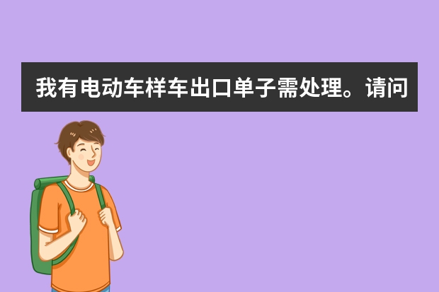我有电动车样车出口单子需处理。请问毛里求斯 和 印度尼西亚 这两个国家的插头规格分别有哪些?