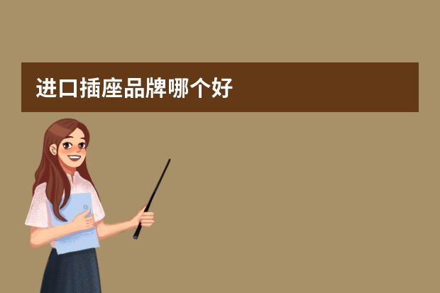进口插座品牌哪个好