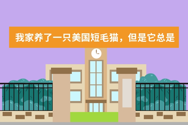 我家养了一只美国短毛猫，但是它总是只在猫砂盆里小便，而大便总是在外面，我怎么教它也不听。我该怎么办