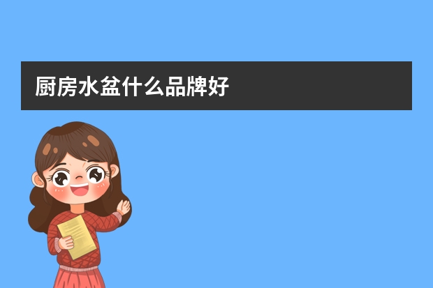 厨房水盆什么品牌好