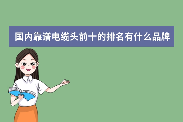 国内靠谱电缆头前十的排名有什么品牌？有谁来评价一下嘛？