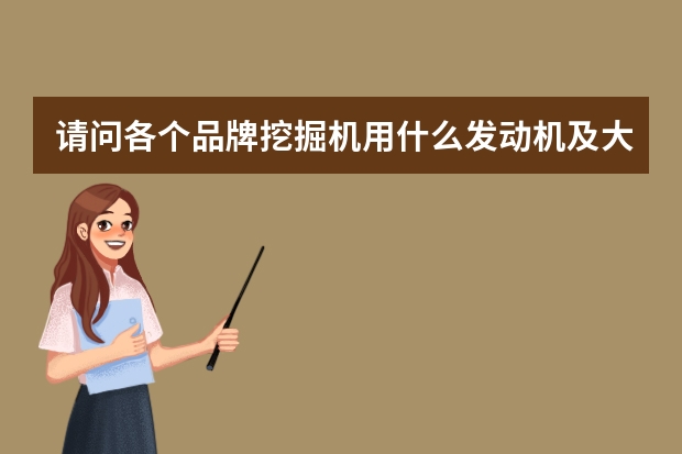 请问各个品牌挖掘机用什么发动机及大小挖产地或者组装地？