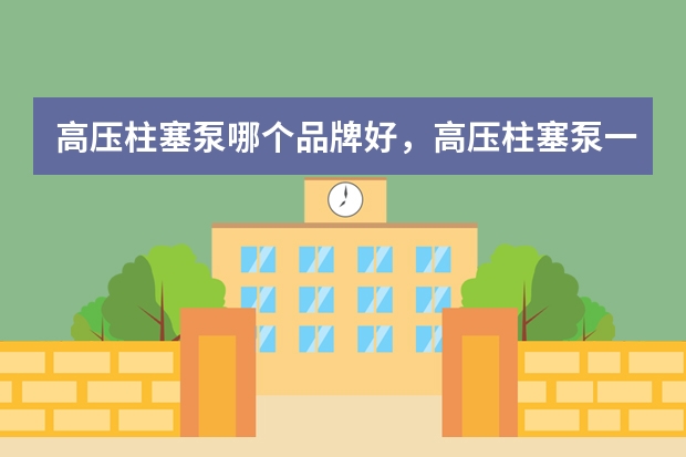 高压柱塞泵哪个品牌好，高压柱塞泵一般都用什么型号的