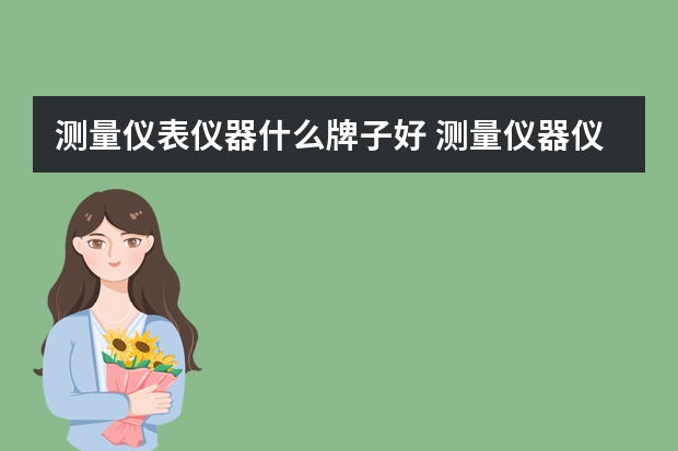 测量仪表仪器什么牌子好 测量仪器仪表品牌大全