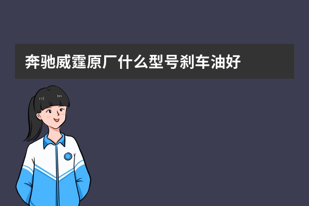 奔驰威霆原厂什么型号刹车油好